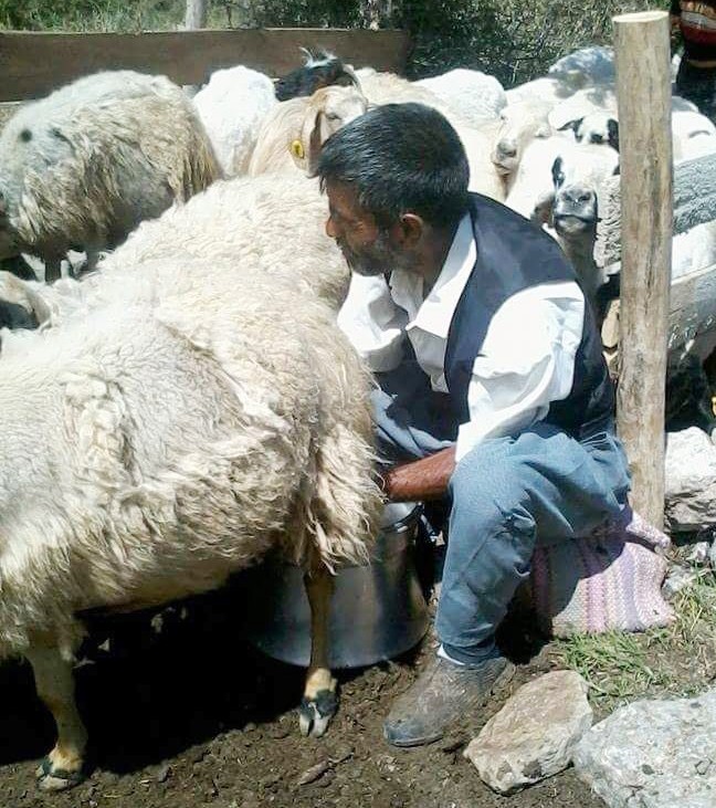 Haber Detay Görseli