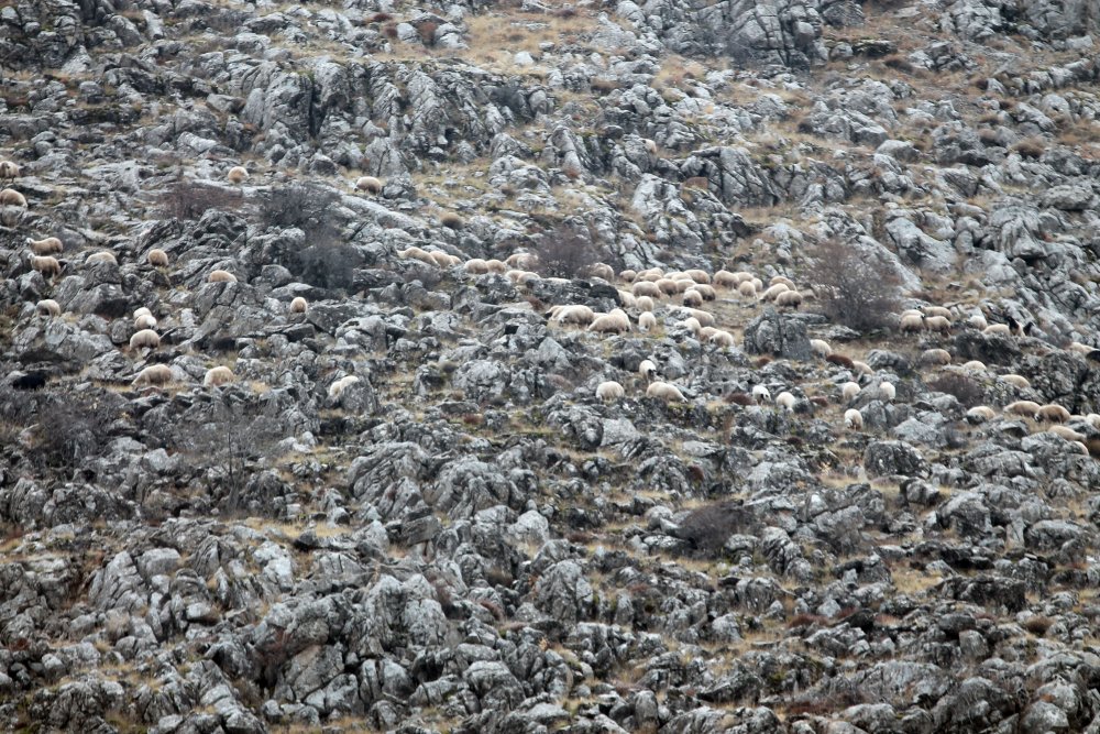 Haber Detay Görseli