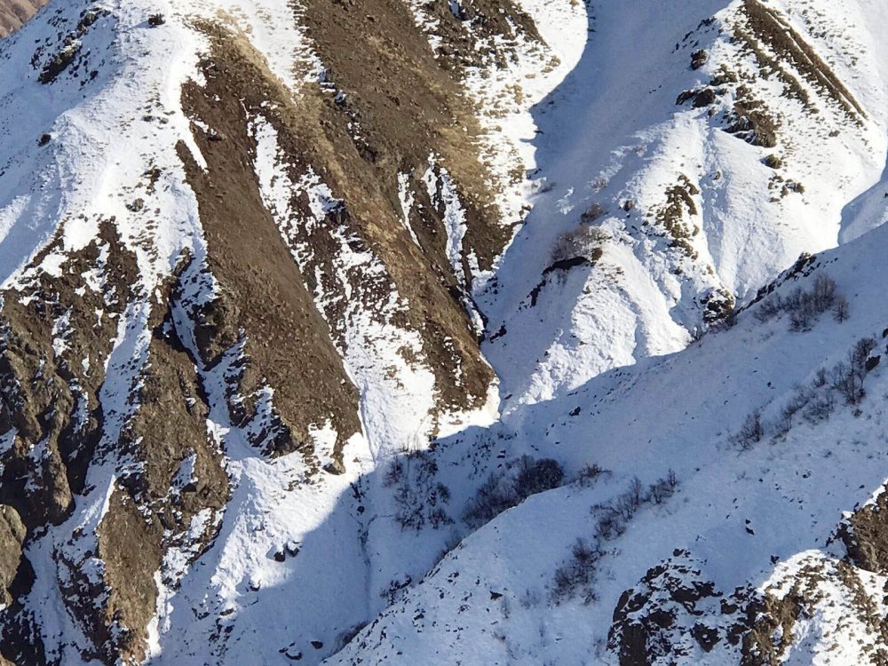 Haber Detay Görseli