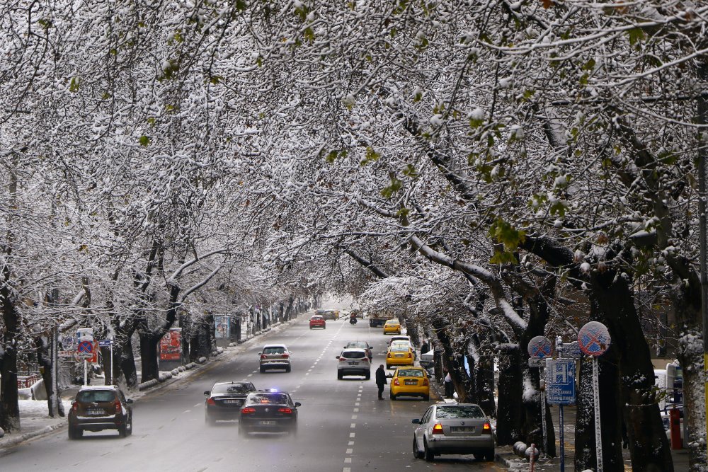 Haber Detay Görseli