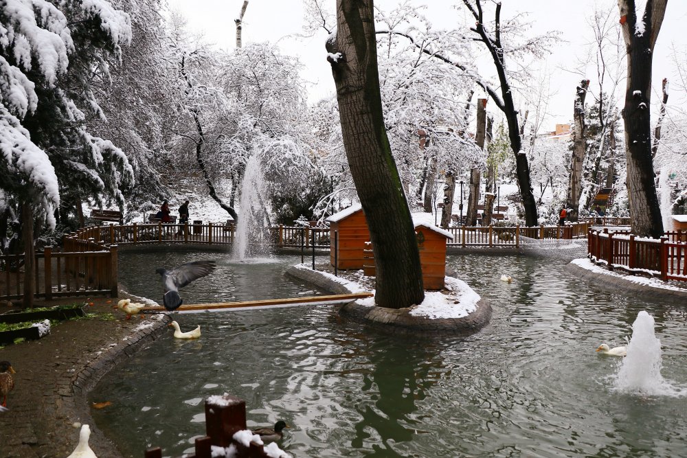 Haber Detay Görseli