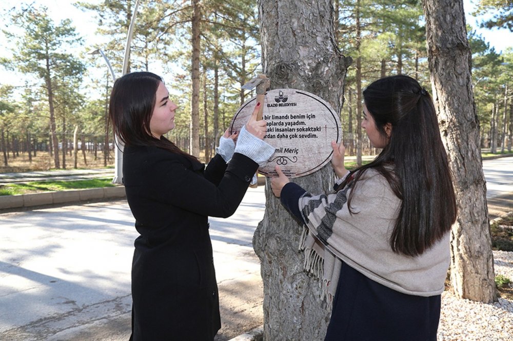 Haber Detay Görseli