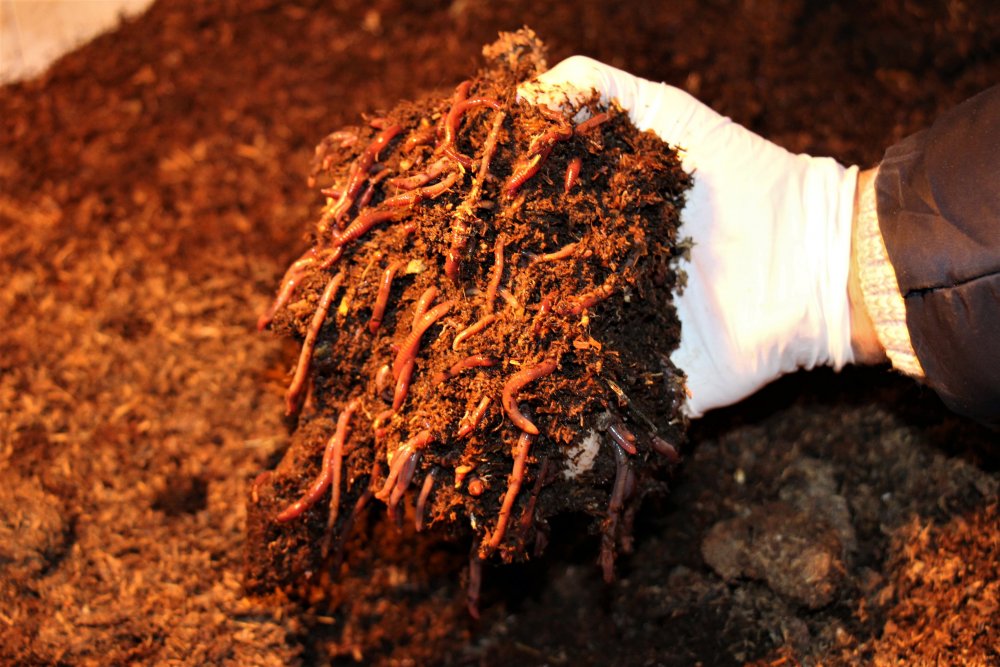 Haber Detay Görseli