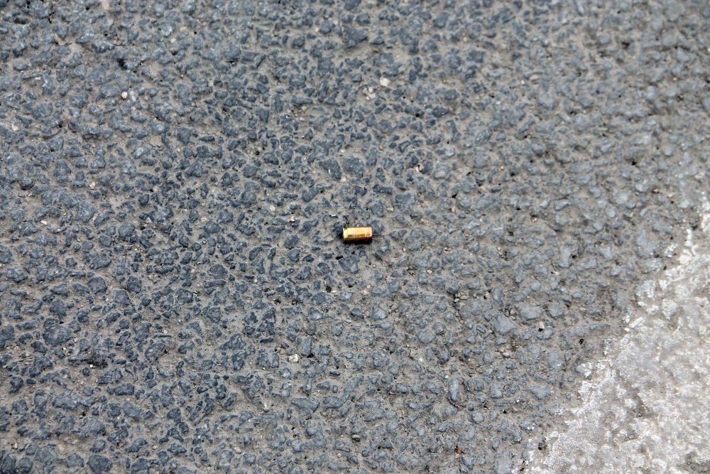 Haber Detay Görseli