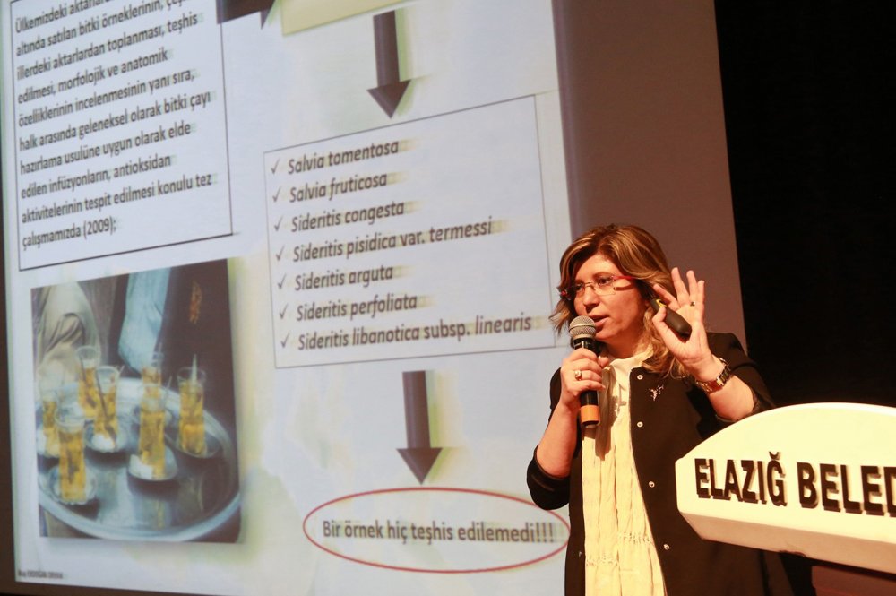 Haber Detay Görseli