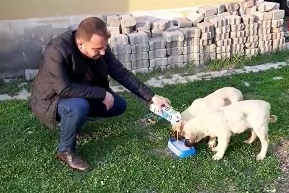 Haber Detay Görseli