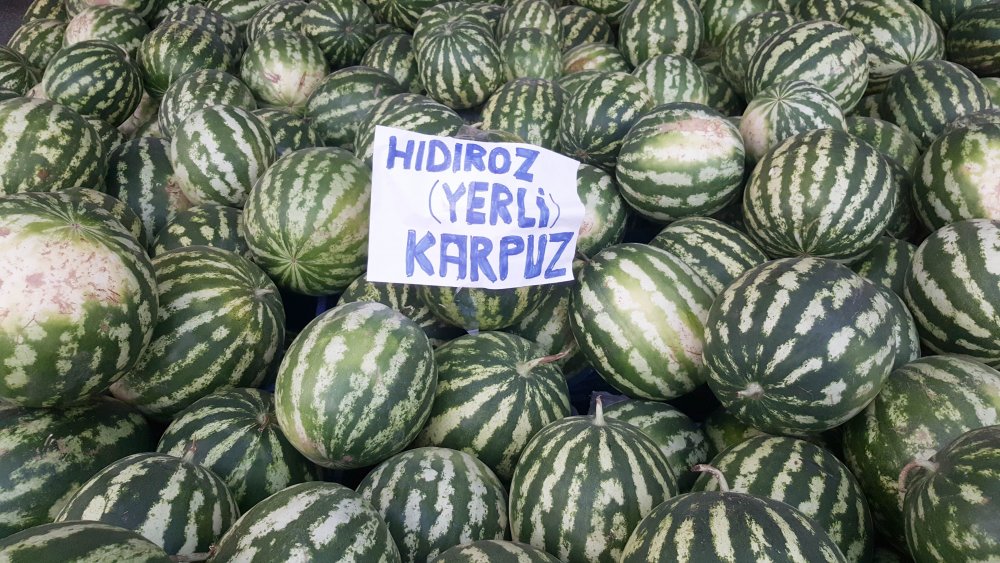 Haber Detay Görseli