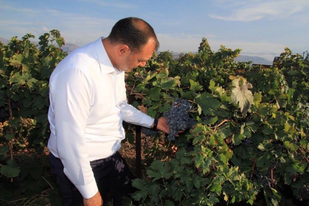 Haber Detay Görseli