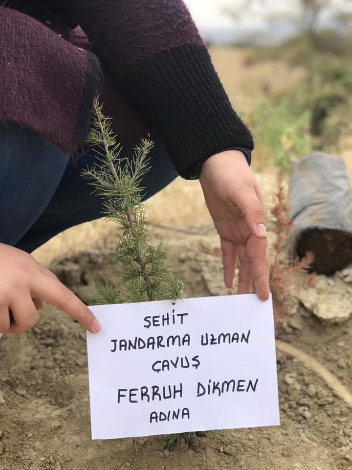 Haber Detay Görseli