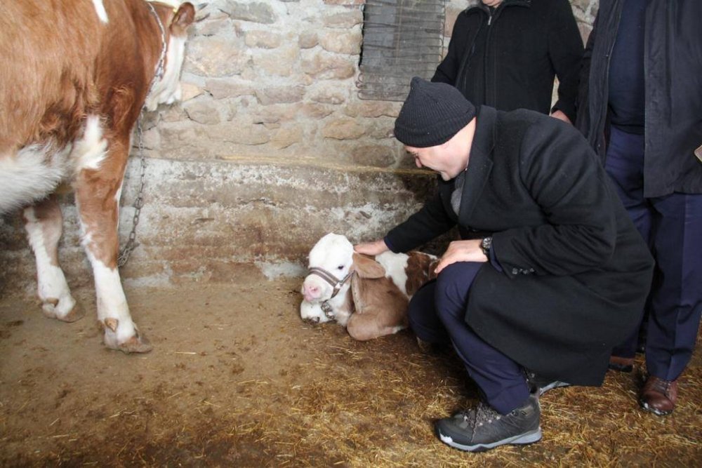 Haber Detay Görseli