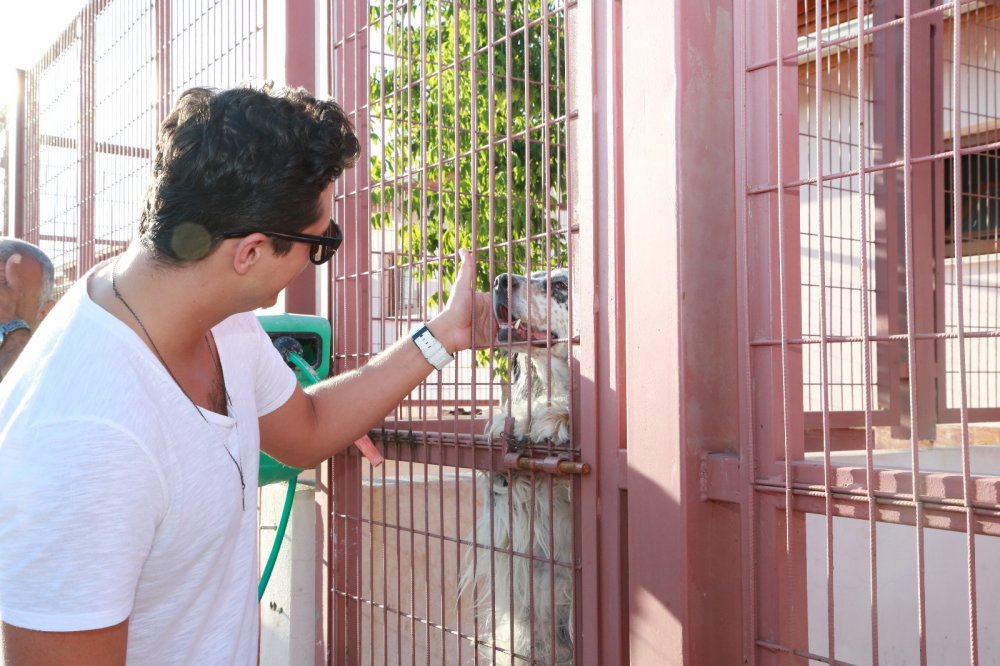 Haber Detay Görseli