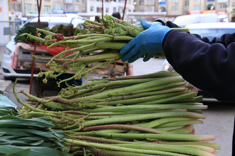 Haber Detay Görseli