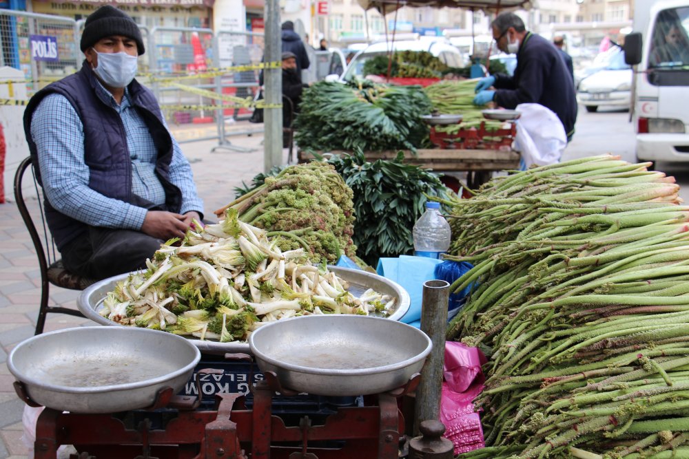 Haber Detay Görseli