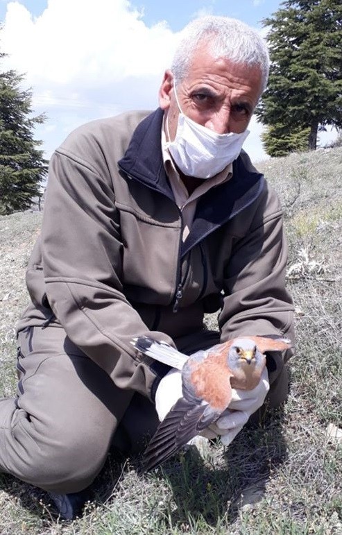 Haber Detay Görseli