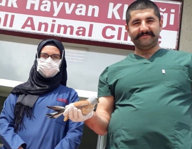 Haber Detay Görseli