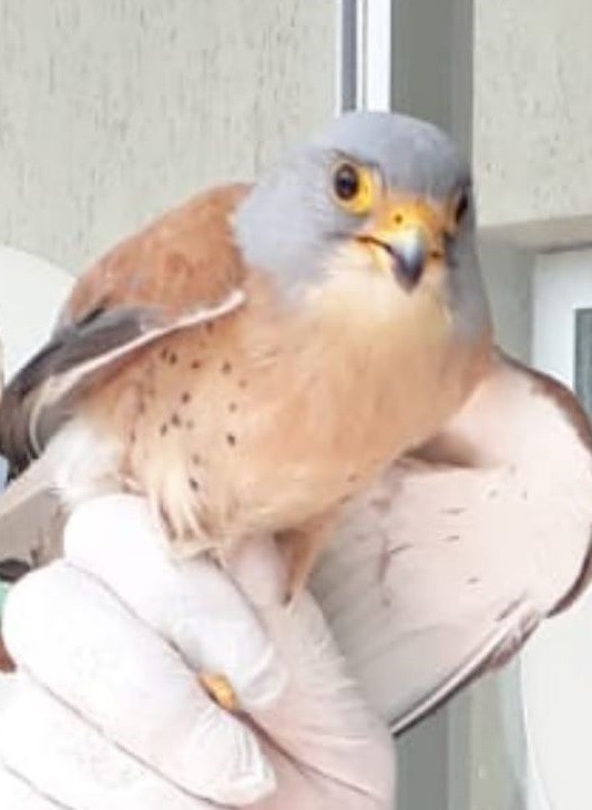 Haber Detay Görseli