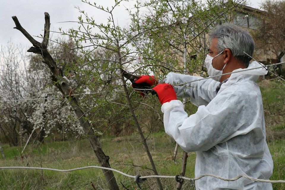 Haber Detay Görseli