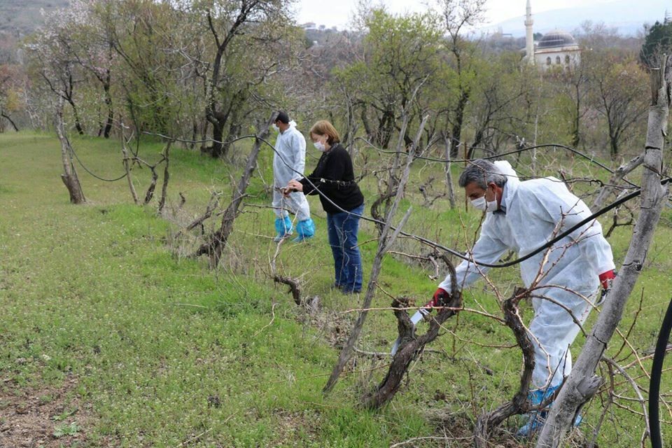 Haber Detay Görseli