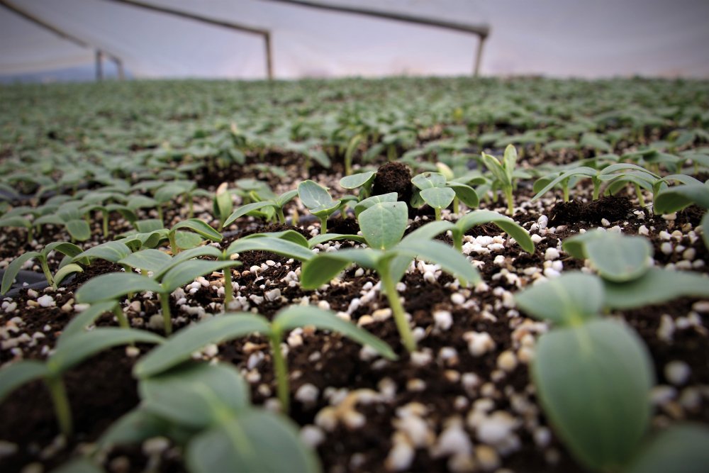 Haber Detay Görseli