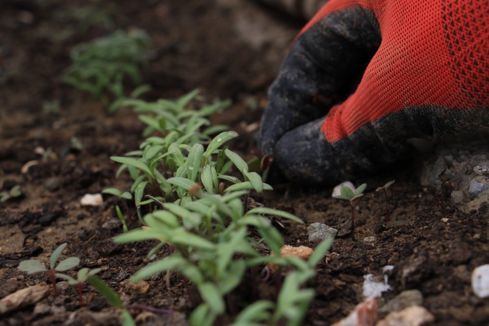 Haber Detay Görseli