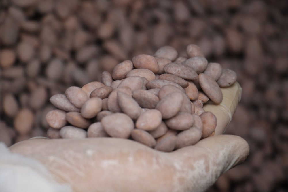 Haber Detay Görseli