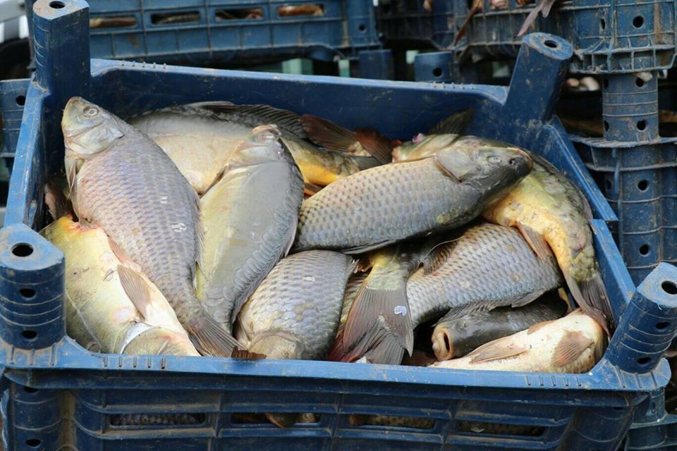 Haber Detay Görseli