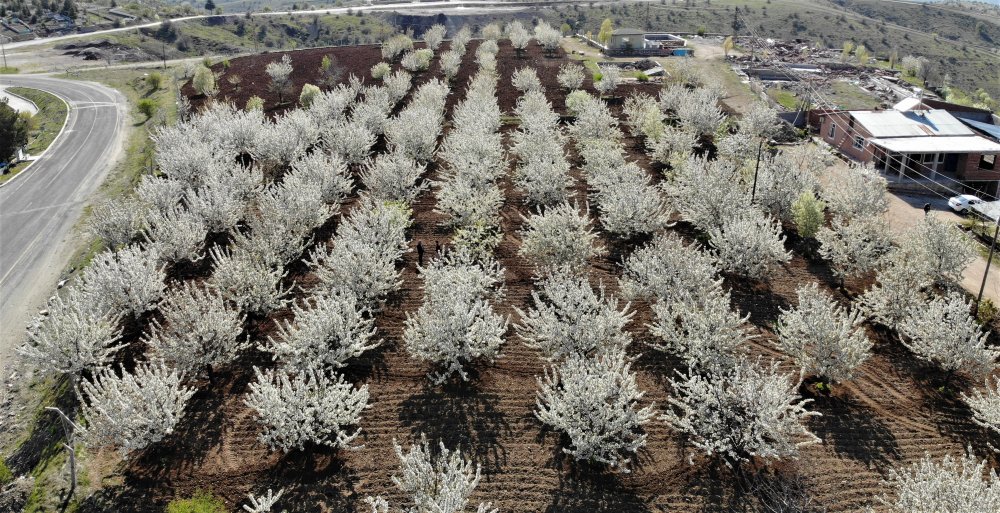 Haber Detay Görseli