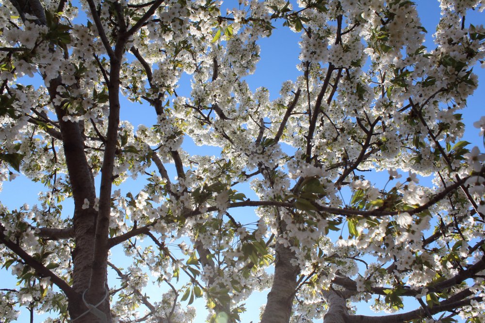 Haber Detay Görseli