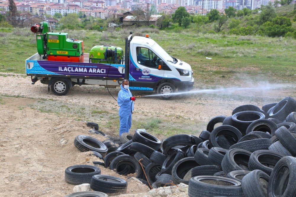 Haber Detay Görseli