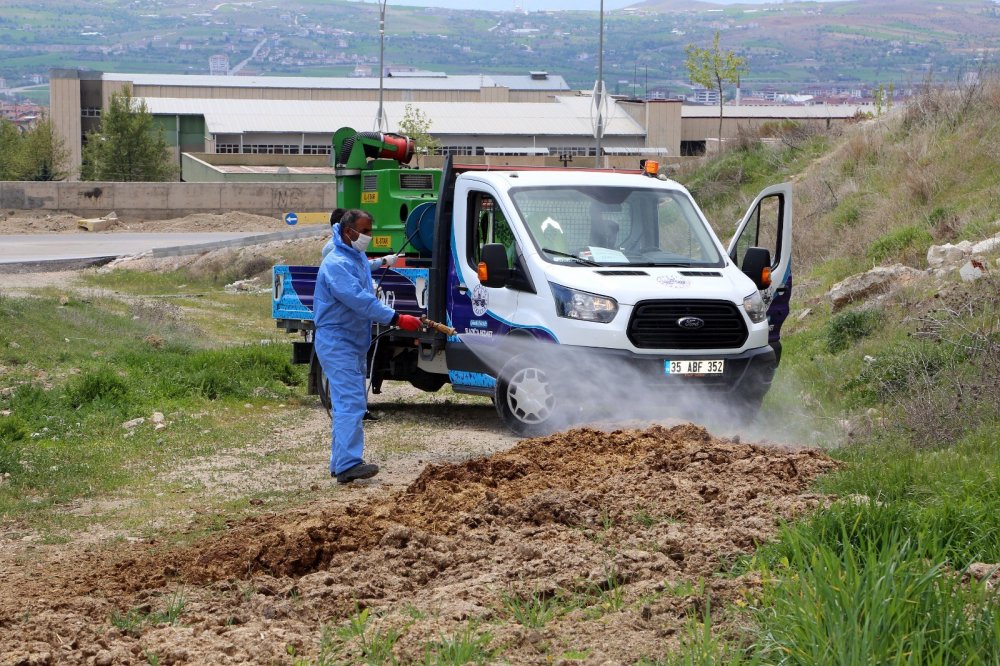 Haber Detay Görseli