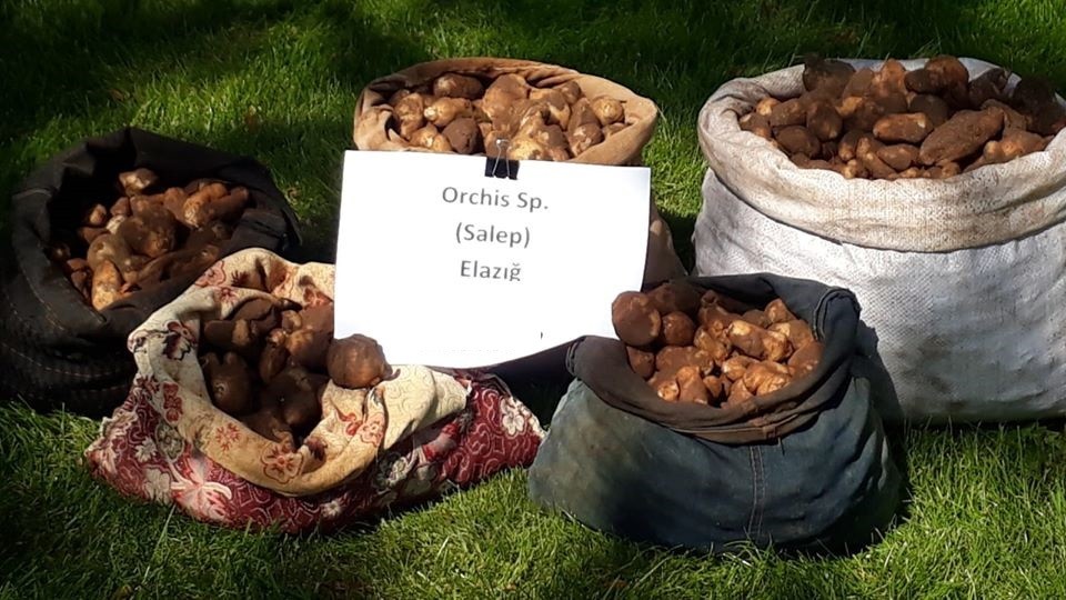 Haber Detay Görseli