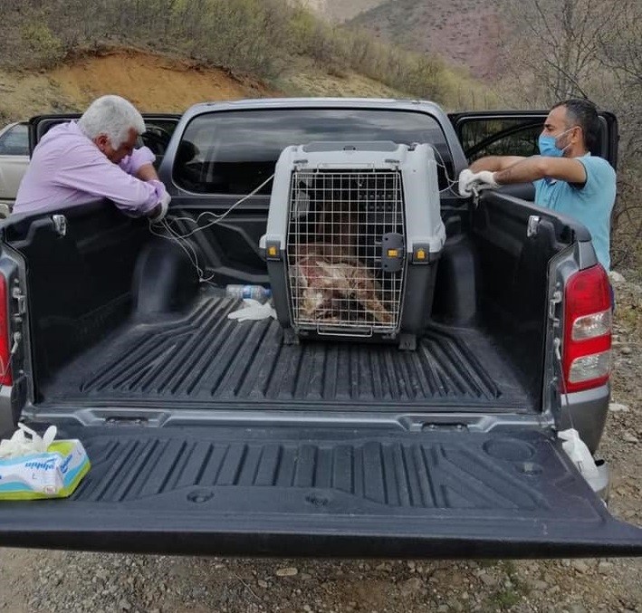 Haber Detay Görseli