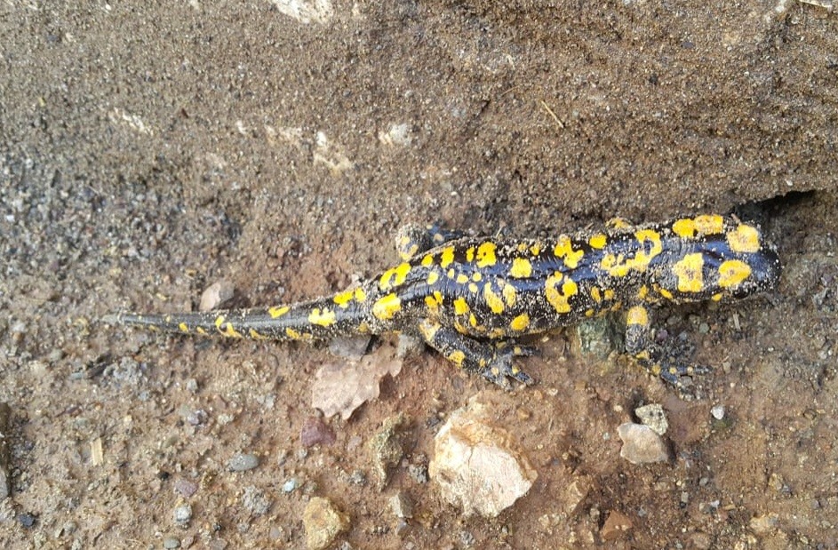 Haber Detay Görseli