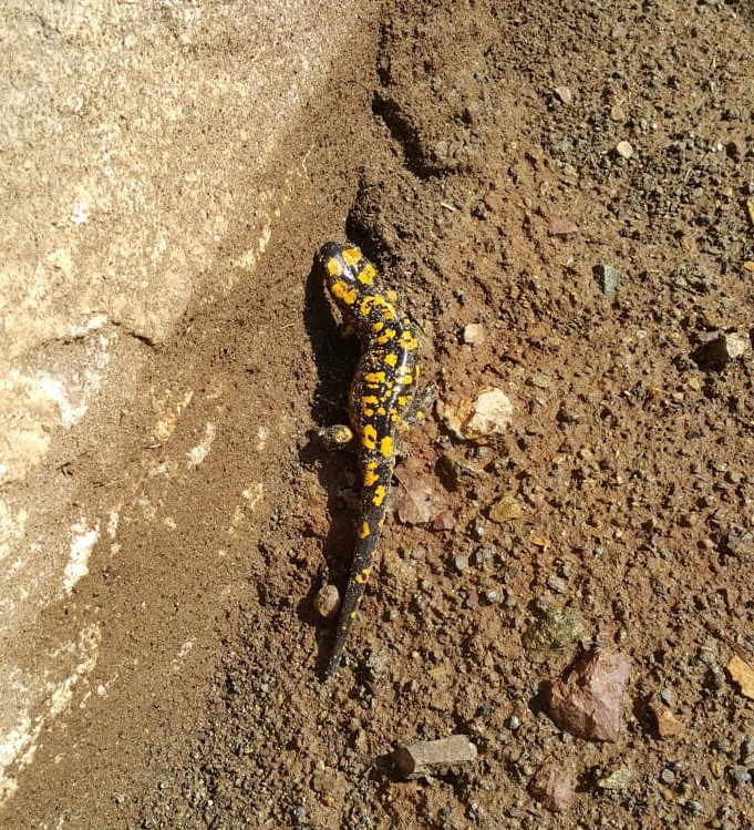 Haber Detay Görseli