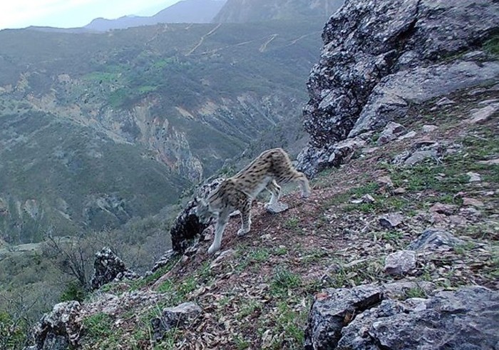 Haber Detay Görseli