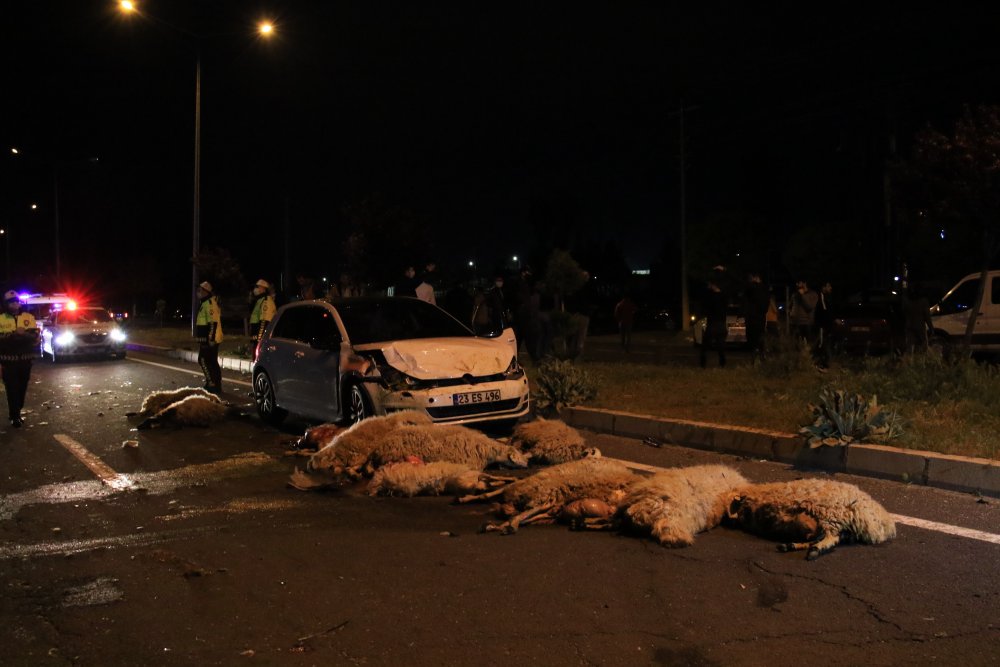 Haber Detay Görseli