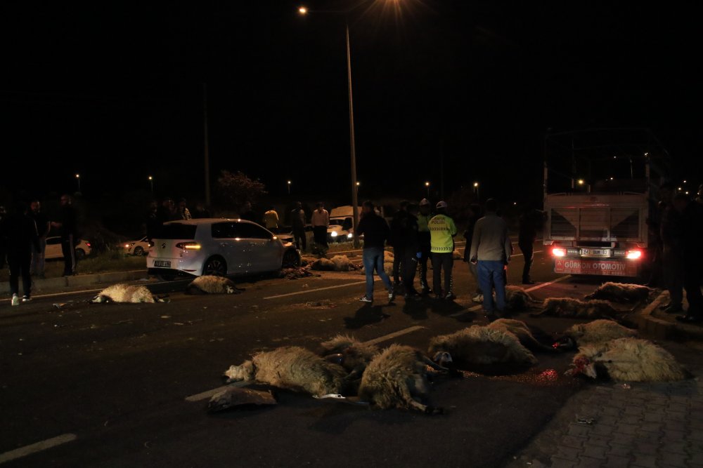 Haber Detay Görseli