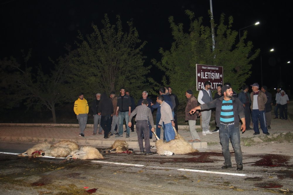 Haber Detay Görseli