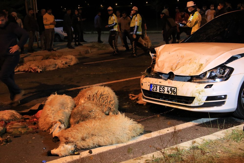 Haber Detay Görseli