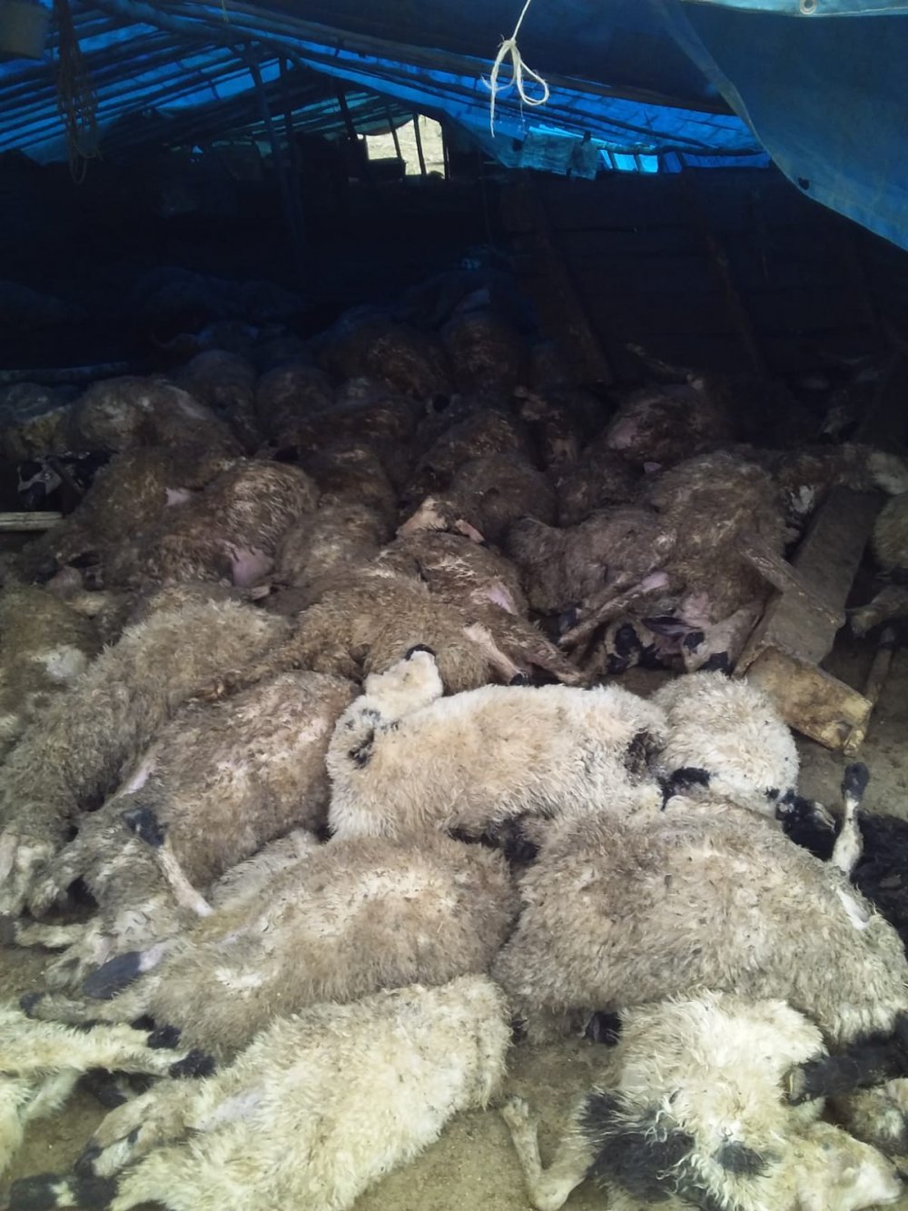 Haber Detay Görseli