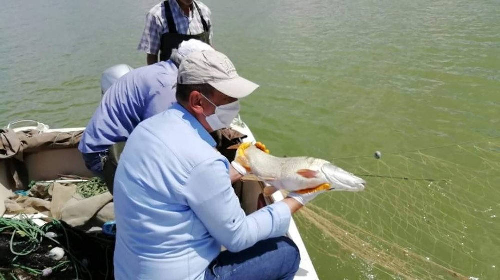 Haber Detay Görseli