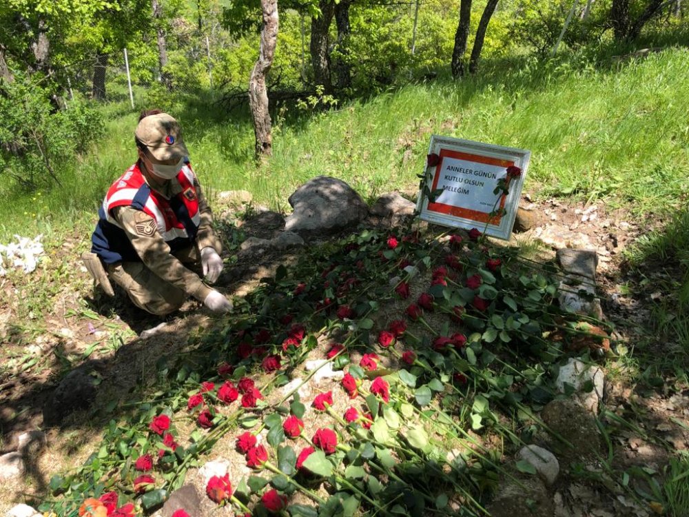 Haber Detay Görseli