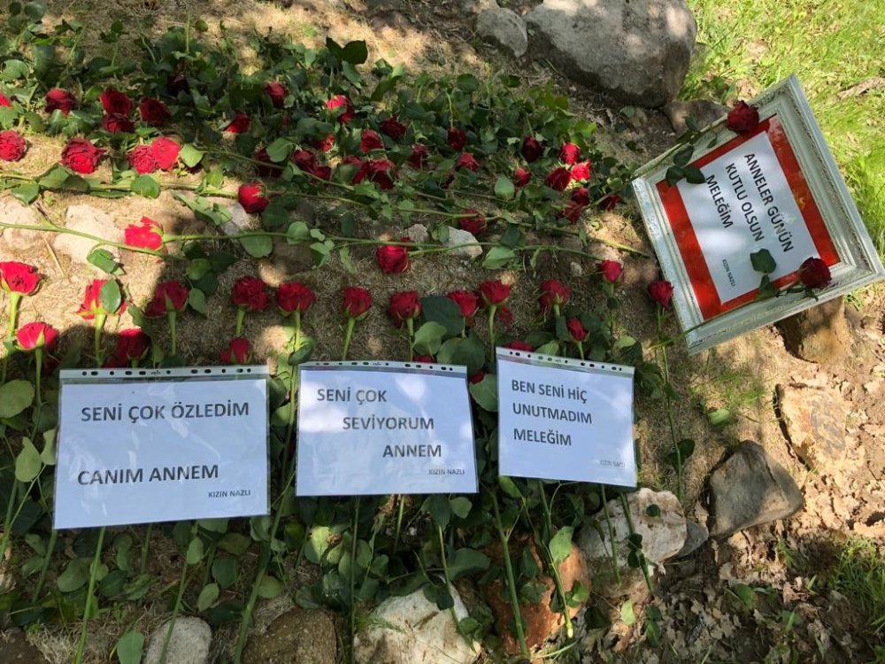 Haber Detay Görseli