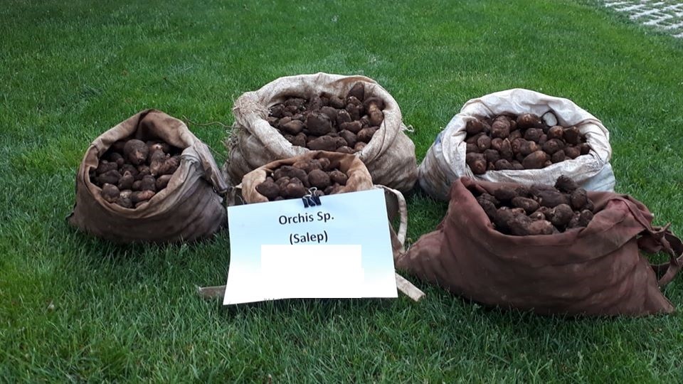 Haber Detay Görseli