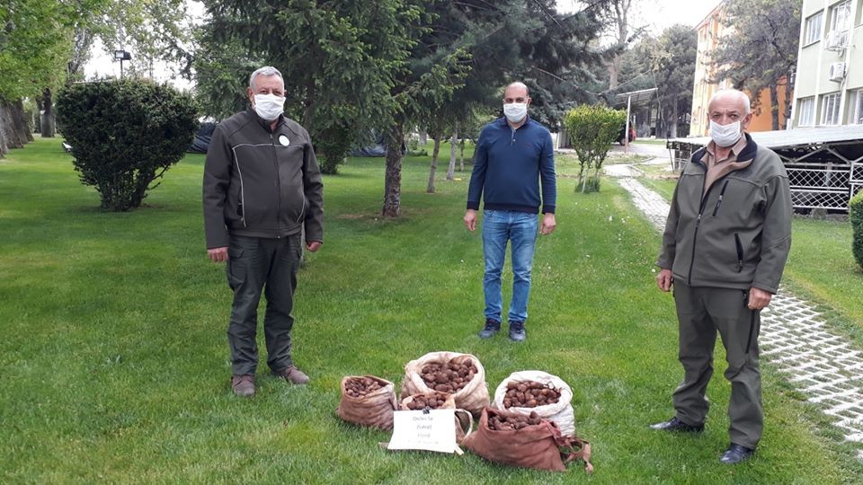 Haber Detay Görseli