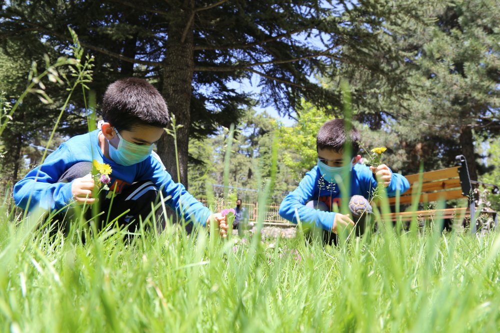 Haber Detay Görseli