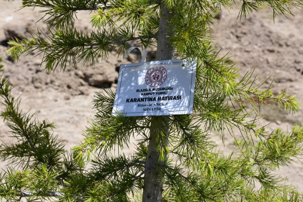 Haber Detay Görseli