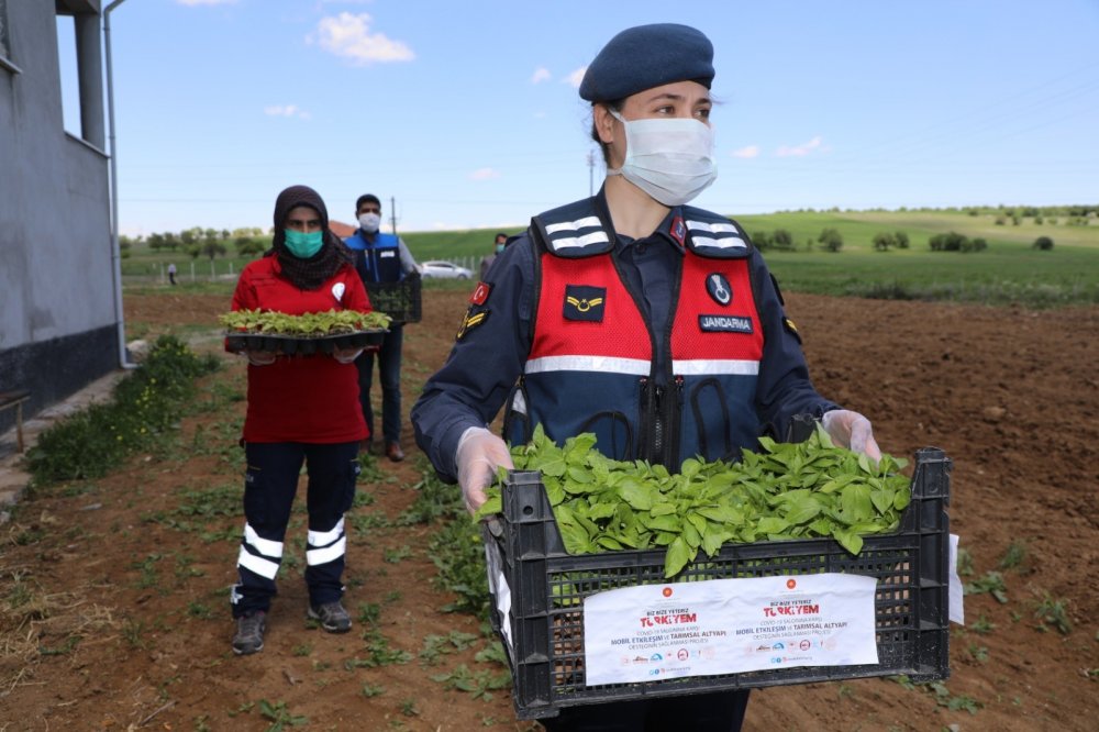 Haber Detay Görseli