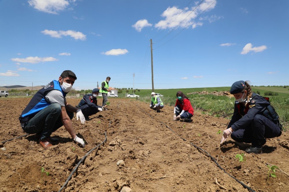 Haber Detay Görseli