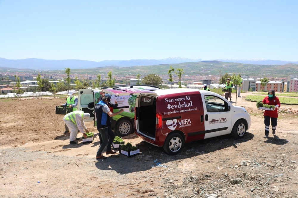 Haber Detay Görseli